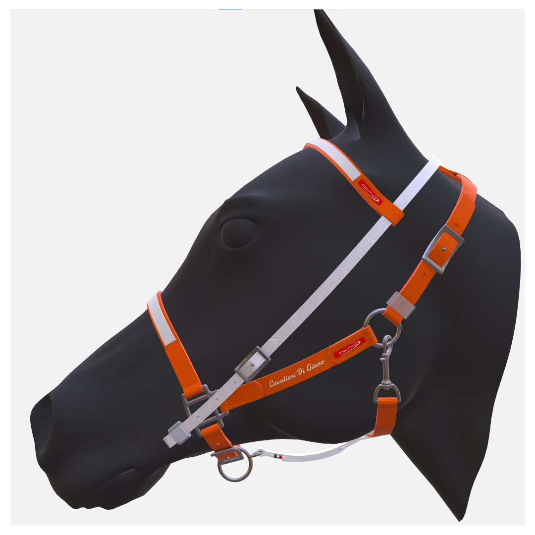 CHEVALIERS DE JANUS TESTIERA + REDINI CAVALIERI DI GIANO 176,23&nbsp;€