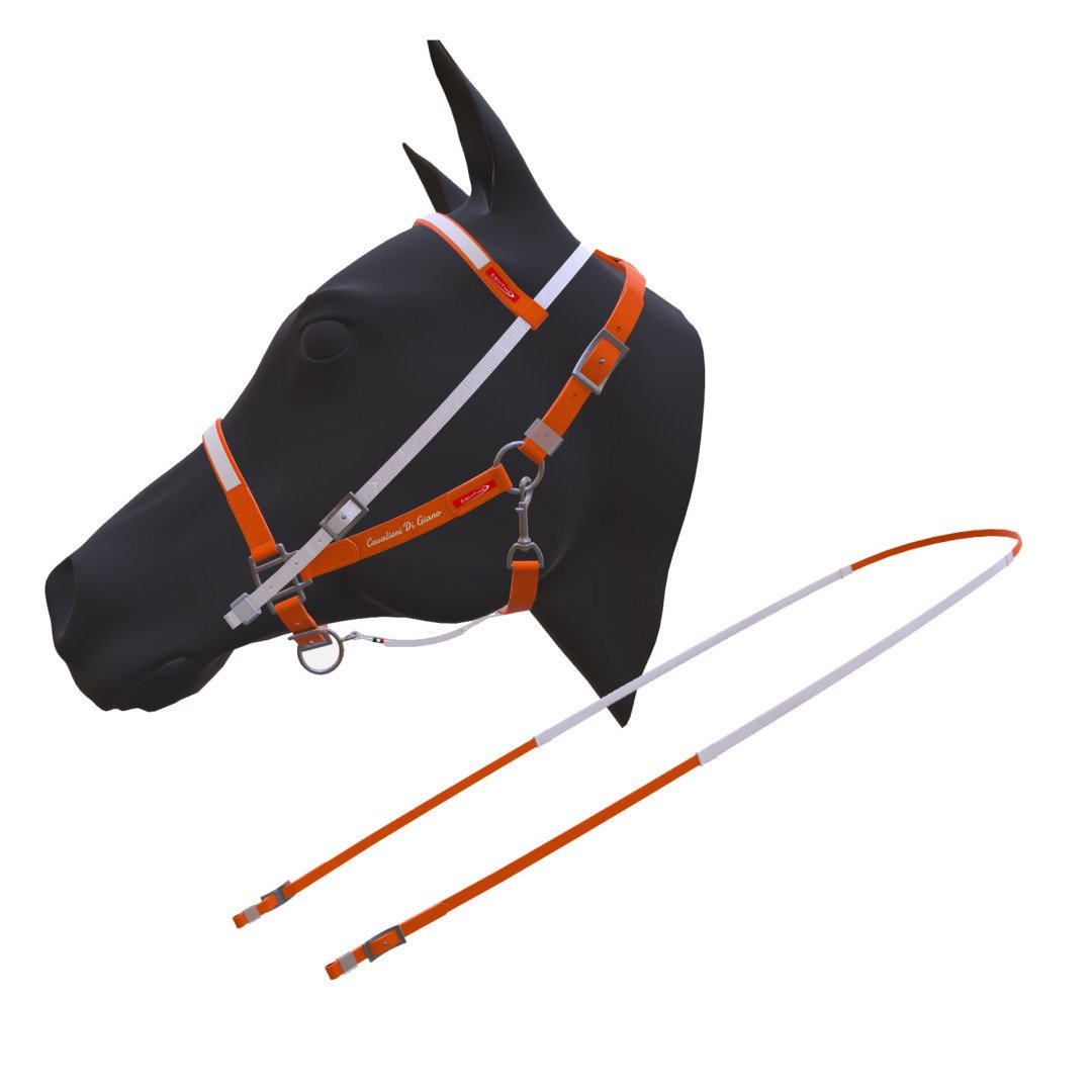 CABALLEROS DE JANO TESTIERA + REDINI CAVALIERI DI GIANO 176,23&nbsp;€