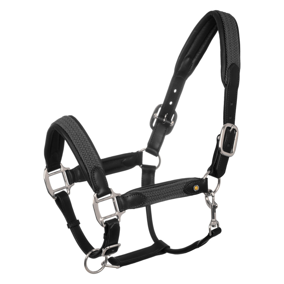 halter  Cavezza in cuoio con inserti in nylon intrecciato 65,49 € halter  Cavezza in cuoio con inserti in nylon intrecciato 65,49 €