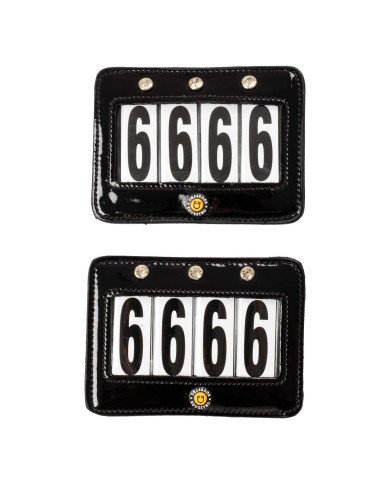 Portanumeri da gara  Porta numeri da gara 4 cifre cristalli 32,38 €