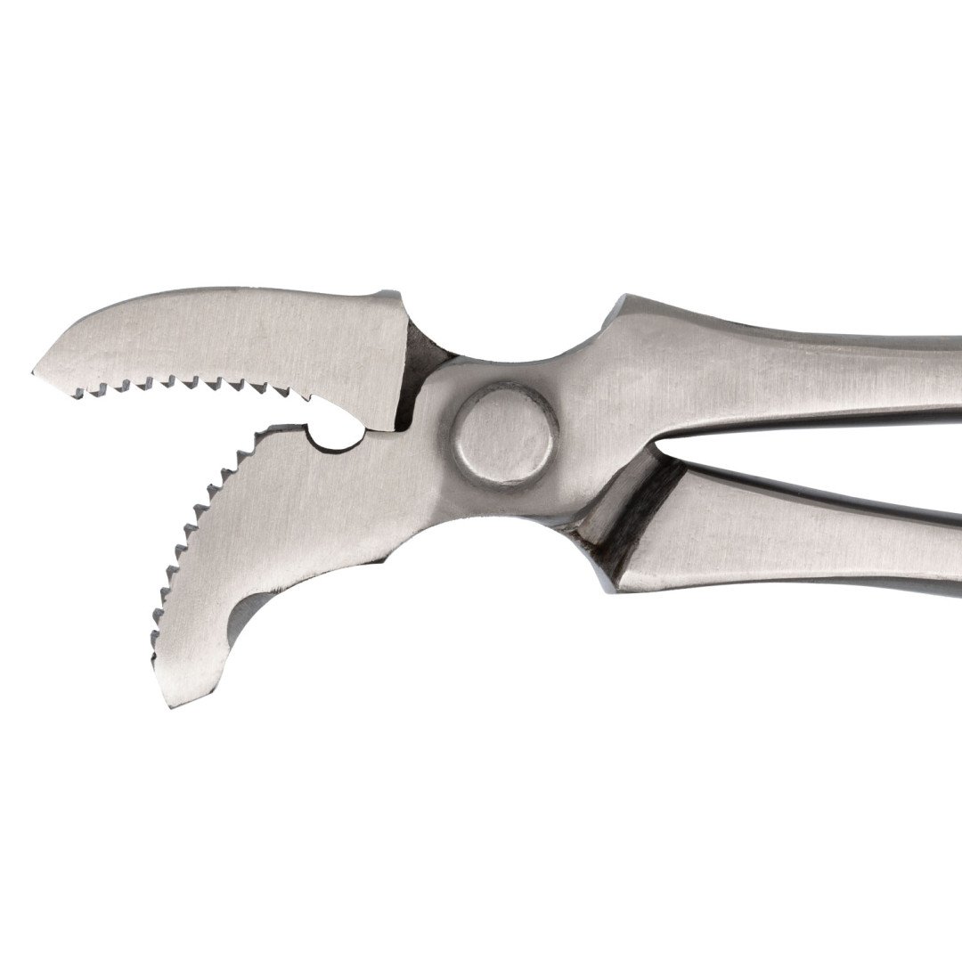 Farriery tools  TIRACHIODI CURVO 73,61 €