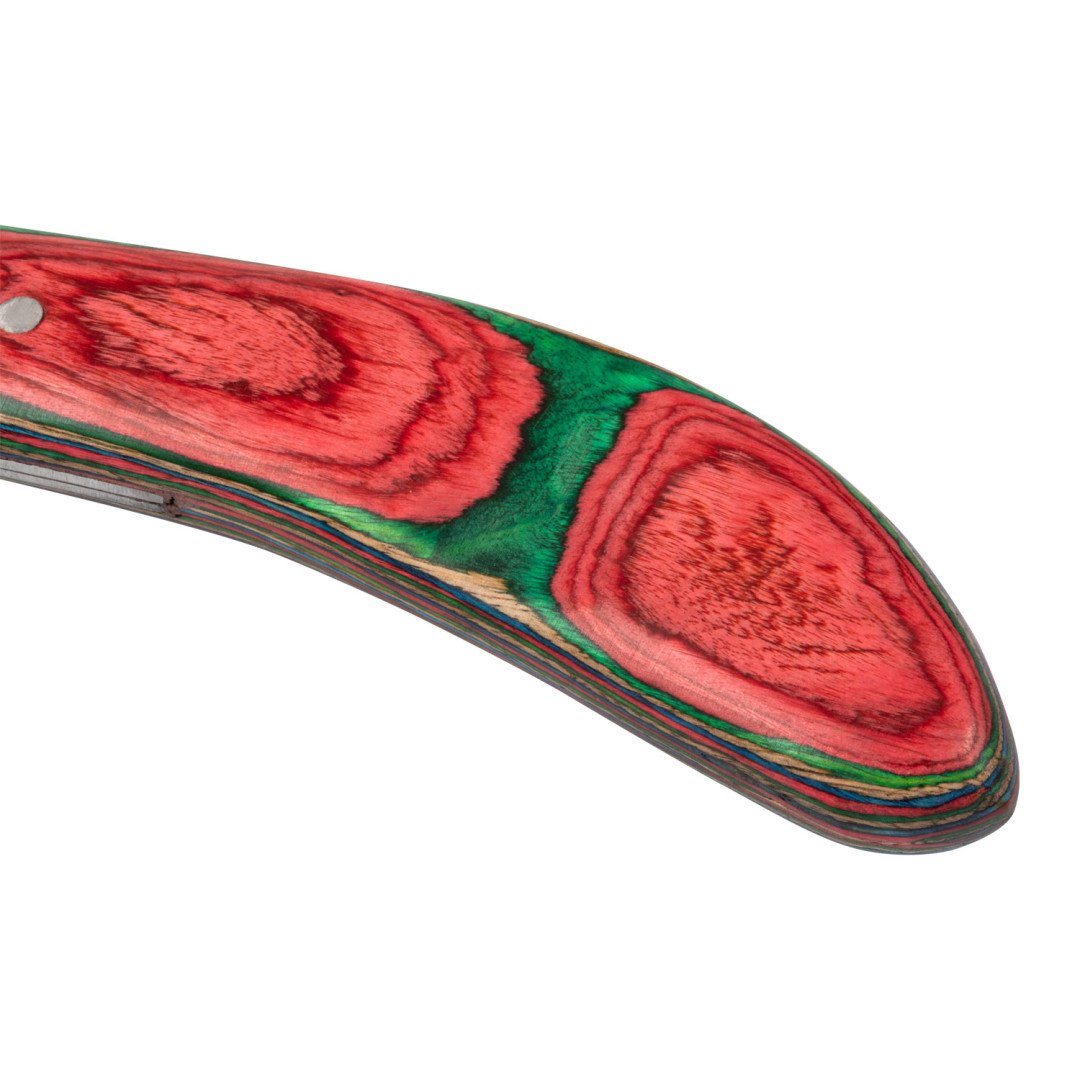 Farriery tools  COLTELLO PER UNGHIE AD UNCINO 24,43 €