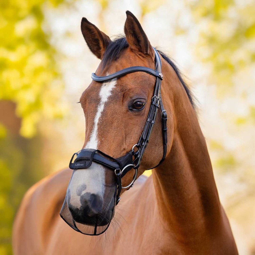 Zubehör und Ersatzteile  RETE ULTRAFINE ANTI POLVERE 2 PZ. 24,55 €