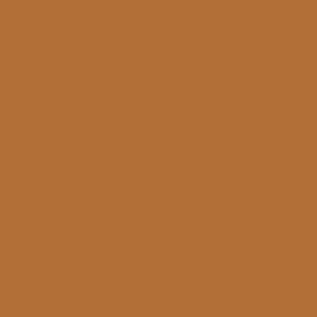 Colore pelle_Cognac.png