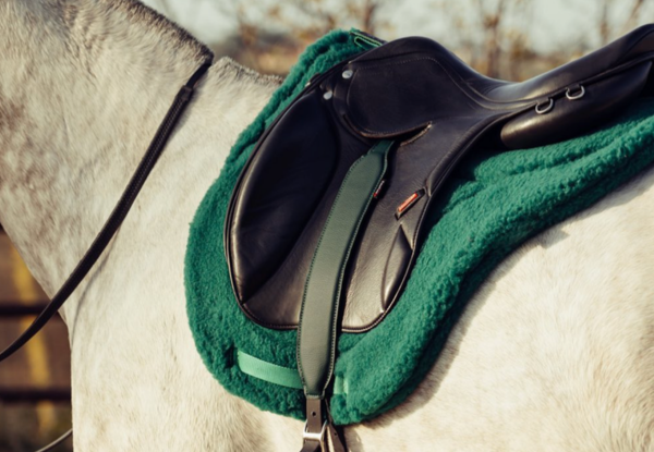 Why the right saddle pad prevents injuries over long distances