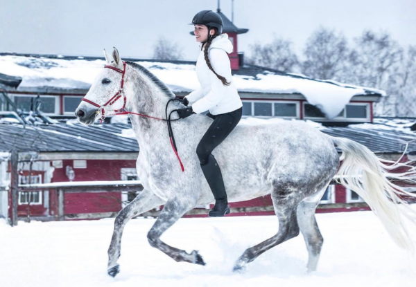 Training in the cold without overloading the horse