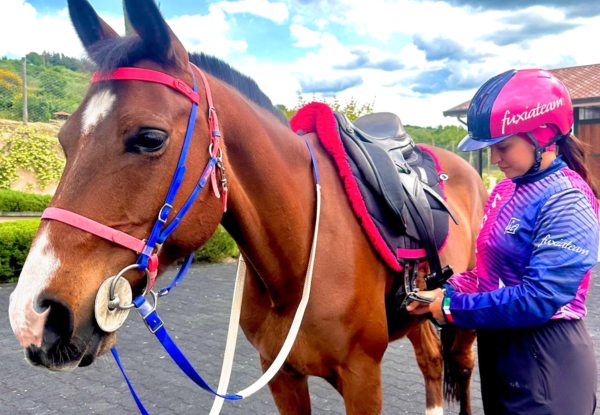 Wie erfahrene Reiter ihr Endurance-Setup vorbereiten