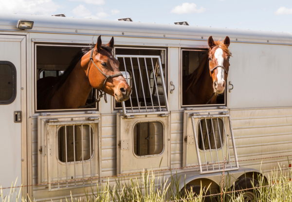 How to organise the trailer for winter training camps