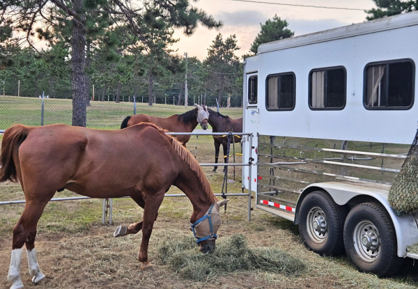Sleeping at an endurance ride camp: trailer or tent?