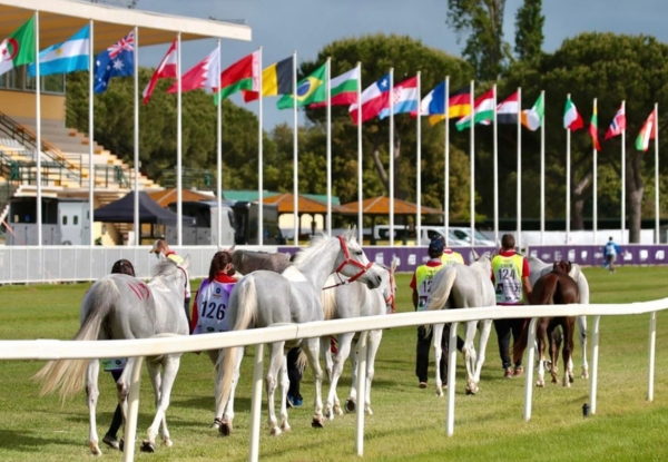 Rückblick 2024: Ein Jahr Endurance zwischen Italien und Frankreich mit EQUITIME