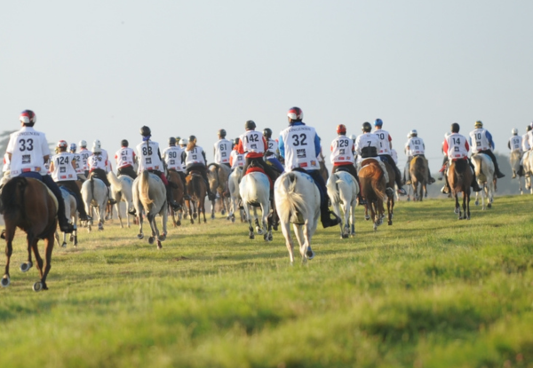 Arezzo Ride 2025: News from Equitime